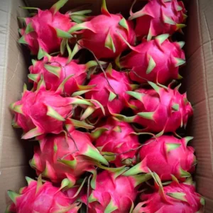 Exotic dragon fruit